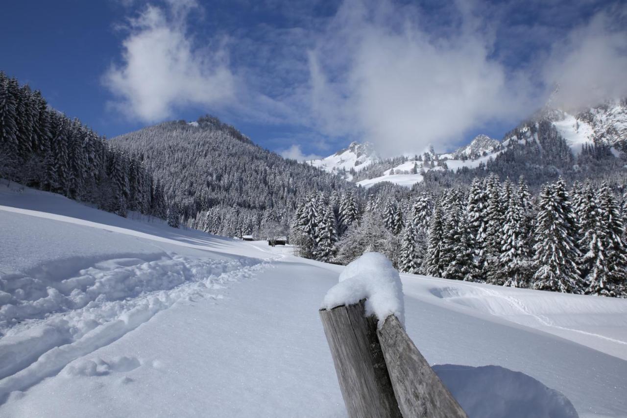 Heerlijke Wandel Of Ski Vakantie In Torgon Portes Du Soleil Екстер'єр фото