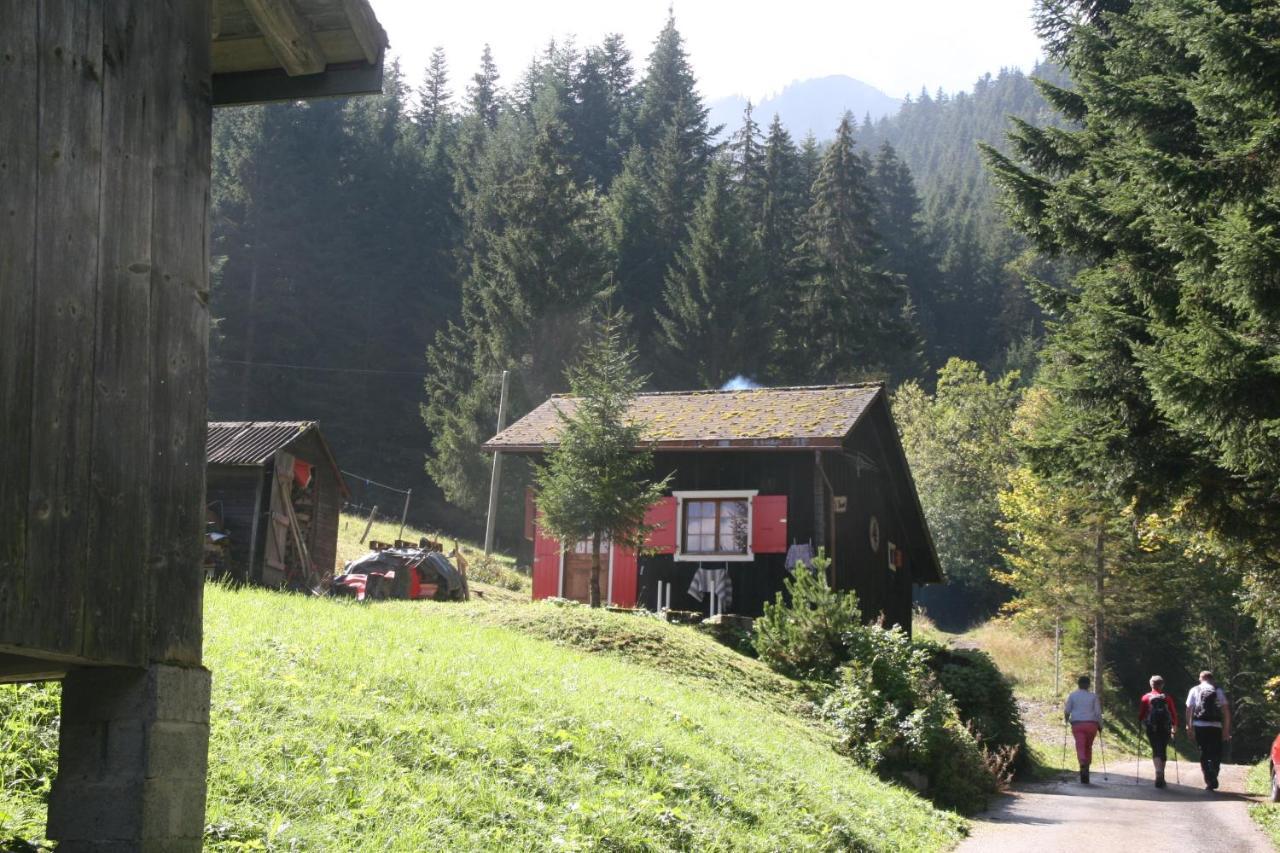Heerlijke Wandel Of Ski Vakantie In Torgon Portes Du Soleil Екстер'єр фото